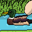 Duck in a pond
